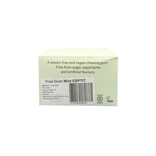 True Gum Chicletes Sem Açúcar Menta 24x21 g