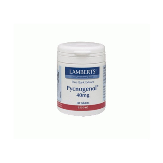 Lamberts Pycnogenol 40 Mg 60 Cap