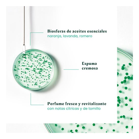 René Furterer Forticea Champô Fortalecedor Revitalizante 600ml