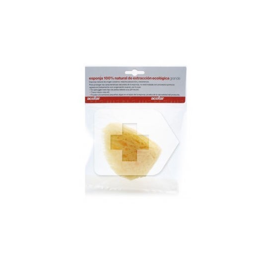 Esmagar natural esponja tamanho grande 1ud