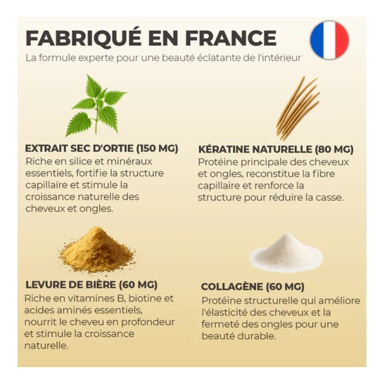 Phytalessence Absolutessence Cabelo & Unhas 60caps Phytalessence Absolutessence Cabelo & Unhas 60caps