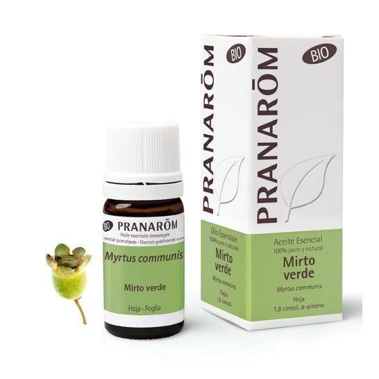 PranarÌ «m verde óleo de mirtilo BIO 5ml
