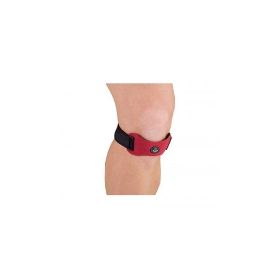 Suporte Patrial Orliman