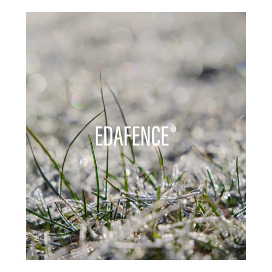 Endocare Radiance C Ferulic Sérum Gel 30ml