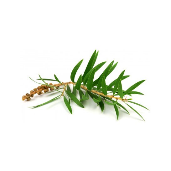 Extrato Aprolis 30ml
