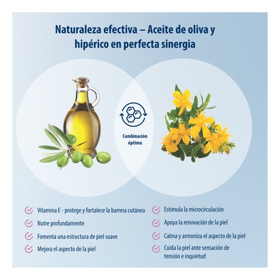 Evolsin Huile Anticelulítico 100ml + Rodillo de Masaje