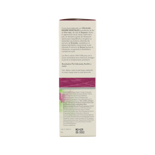 Corpore Sano Crema Hidratante P/s Celulas Madre Uva Roja