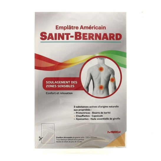 Saint-Bernard Vazio Americano 19cmx30cm