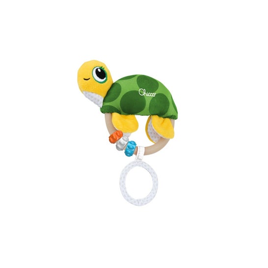 Chicco Gioco Onda La Tartaruga 1 Unità