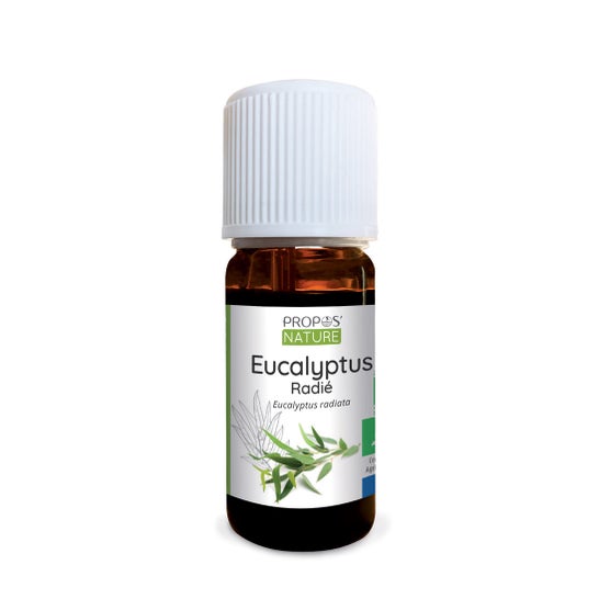 Proposta de Óleo Essencial Orgânico Eucalipto Radiata 10ml