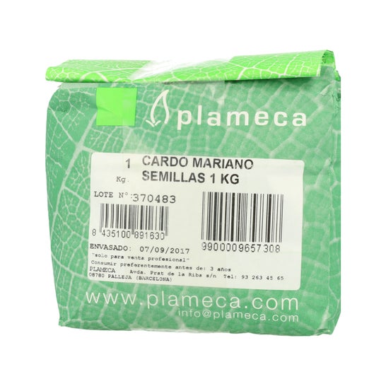 Plameca Milk Thistle Seeds 1Kg
