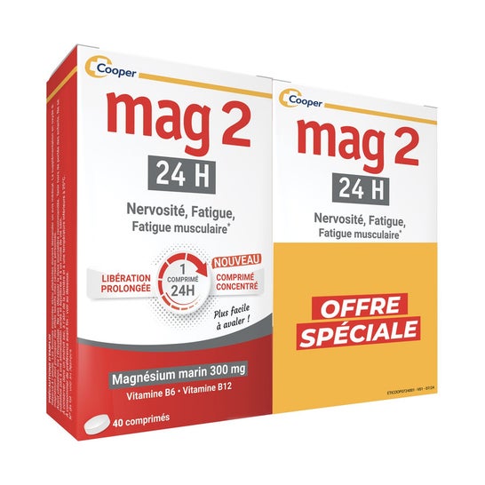 Mag2 24H Nervosismo Fadiga Vitamina B6 B12 2x40comp