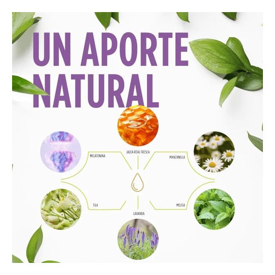 Jelly Kids Sweet Dreams 250ml Jelly Kids Sweet Dreams 250ml