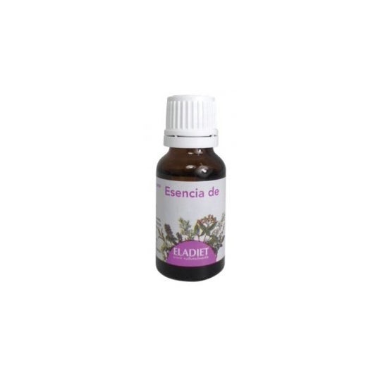 Óleo essencial de eucalipto Fitoesencias 15ml