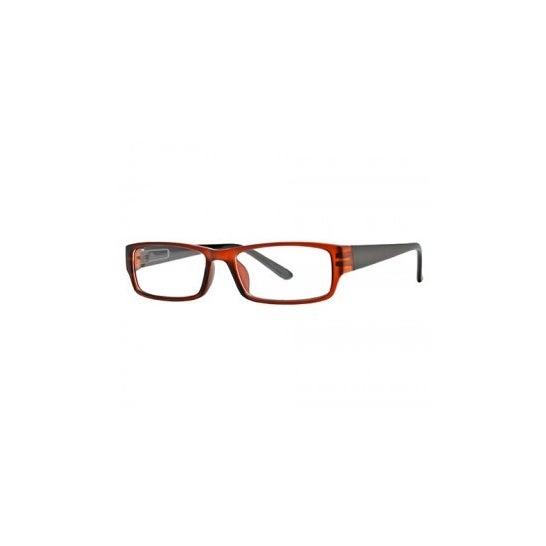 Nordic Vision model Sater dioptria marrom e preta +3