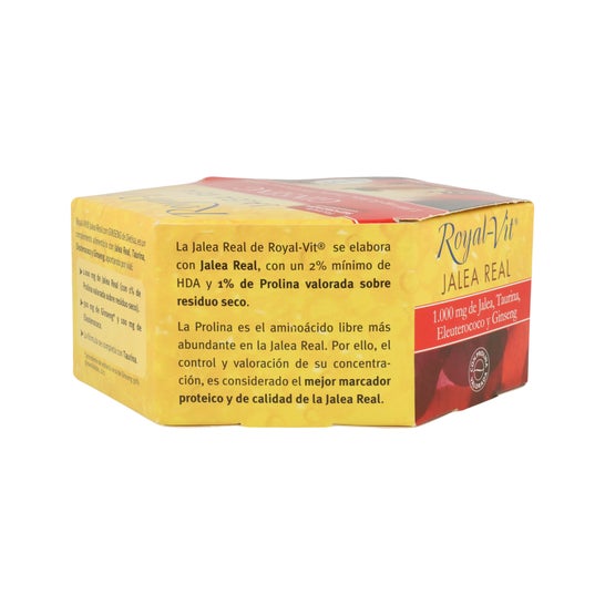Ginseng Geleia Real Vit Royal 20 Ampolas