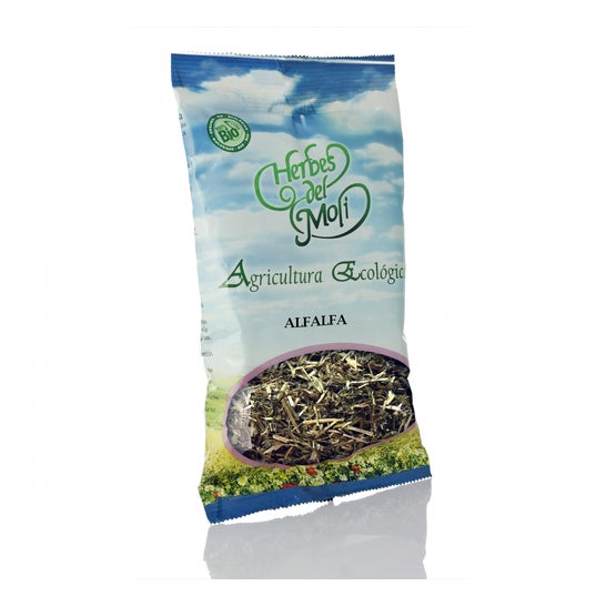 Alfafa Em Planta 45 Gr