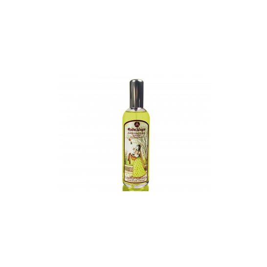 Radhe Shyam Canela-Laranja Air Freshener Spray 100ml