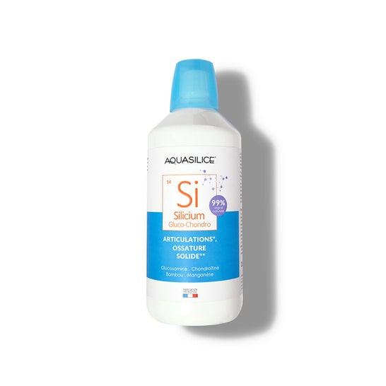 Aquasilice Silicone Glucosamina Condroitina 1000ml