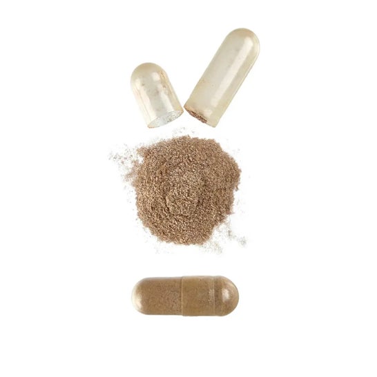 HSN Extracto de Ginkgo Biloba 50:1 120mg 120vcaps