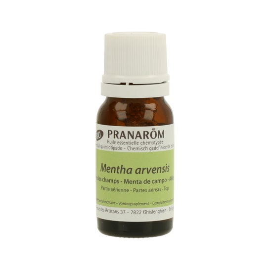 Óleo essencial de hortelã BIO 10ml