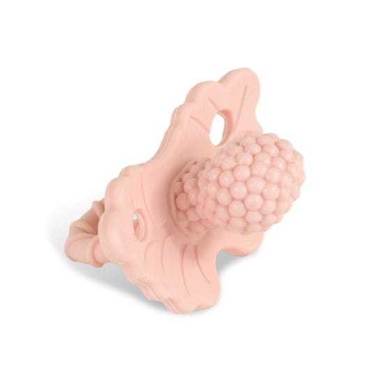RaZbaby Mordedor Rosa Azul 1ud