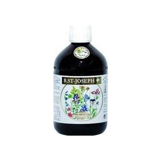 Pianto San Joseph Plus Todah Bio 510g