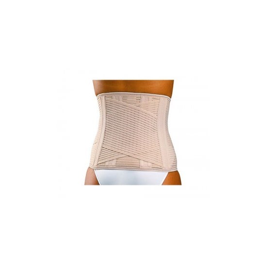 Orliman Faja Lt-280 M / 4