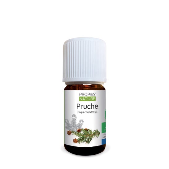 Sobre a Natureza Ele Hemlock Orgânico 5ml