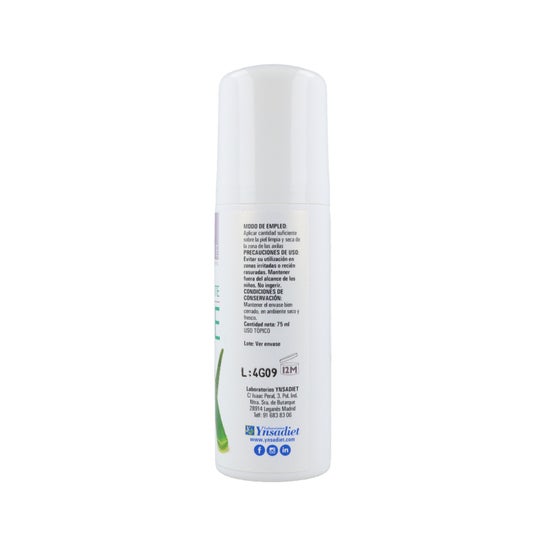Ynsadiet desodorante aloe vera 75ml