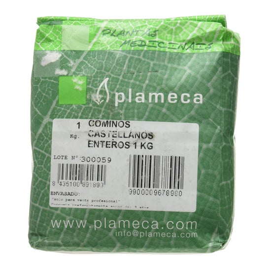 Plameca Cuminosa Grão Castelhano 1Kg