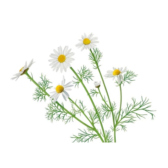 Epaplus Digestcare Helicocid 30comp Epaplus Digestcare Helicocid 30comp