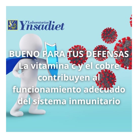 Ynsadiet Fitoprotect 20uds Ynsadiet Fitoprotect 20uds