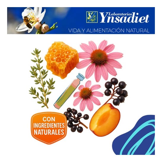 Ynsadiet Fitoprotect 20uds Ynsadiet Fitoprotect 20uds