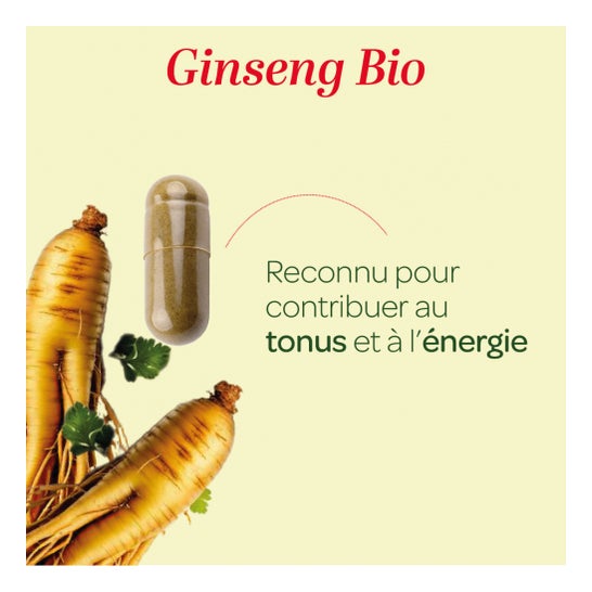 Superdiet Ginseng Bio 45 Pérolas Superdiet Ginseng Bio 45 Pérolas