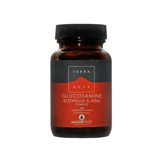 Terranova Glucosamina Boswellia Msm Complexo 100caps