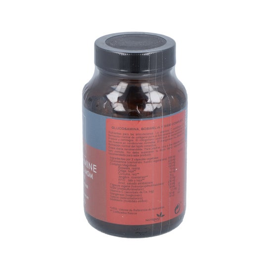 Terranova Glucosamina Boswellia Msm Complexo 100caps