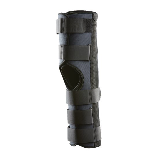 Libeoz Attelle Genou H60cm 1ut