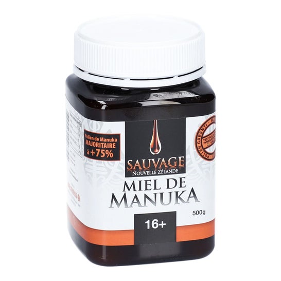 Dr. Theiss Mel de Manuka Selvagem Kfactor 16 500g