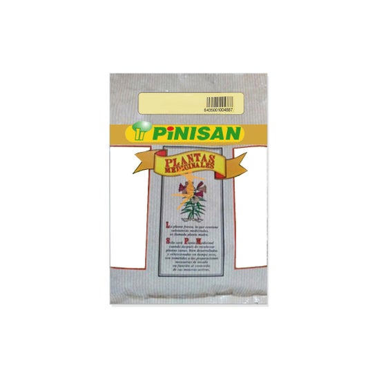 Sementes de Pinisan Dill 50g