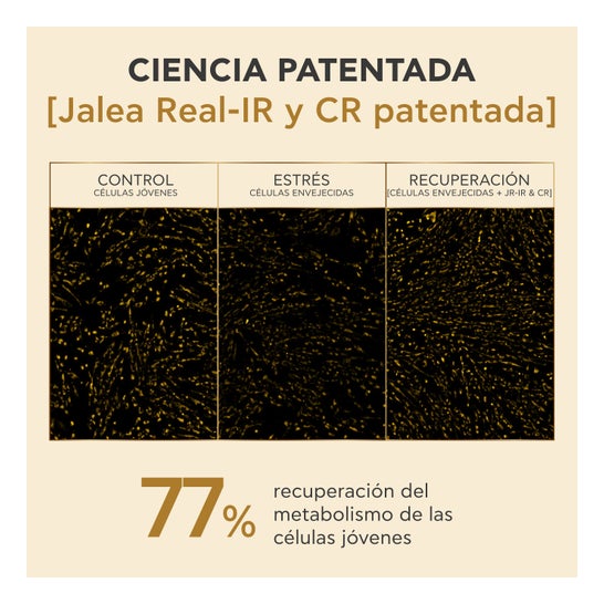 Apivita Queen Bee Longevity Rich Creme de Dia 50 ml