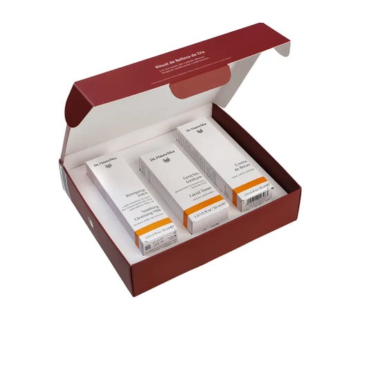 Dr. Hauschka Set Ritual de Beleza Creme de Rosa 3 unid.
