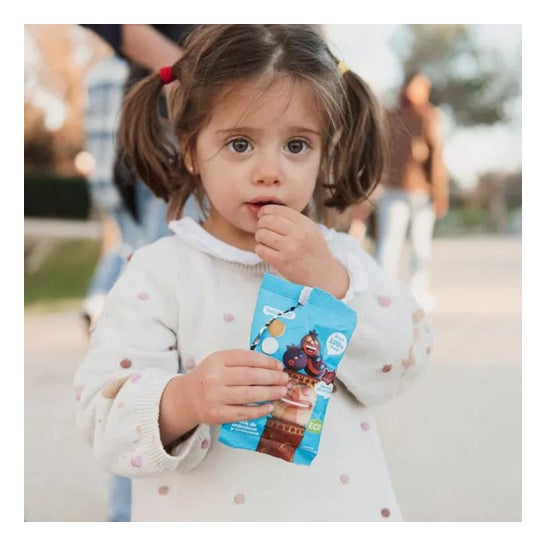 Smileat Snack Arándano Manzana Eco 25g Smileat Snack Arándano Manzana Eco 25g