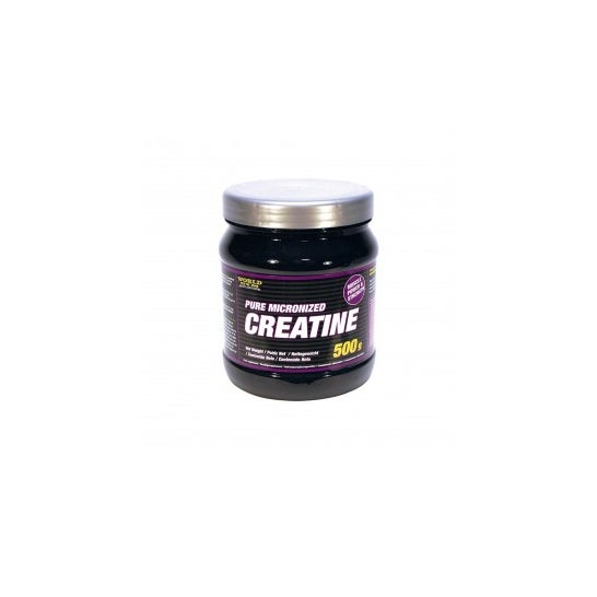 Ginásio Mundial de Creatina Micronizada 500g