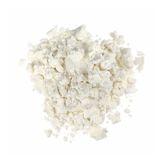 HSN Evocasein 2.0 Caseína Micelar + Digezyme® Chocolate Blanco 500g
