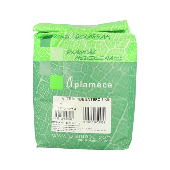 Plameca Chá Verde Folha de Ervas Entra 1Kg