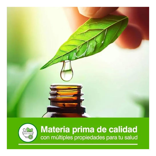 Soria Natural Aceite Esencial De Menta 15ml Soria Natural Aceite Esencial De Menta 15ml