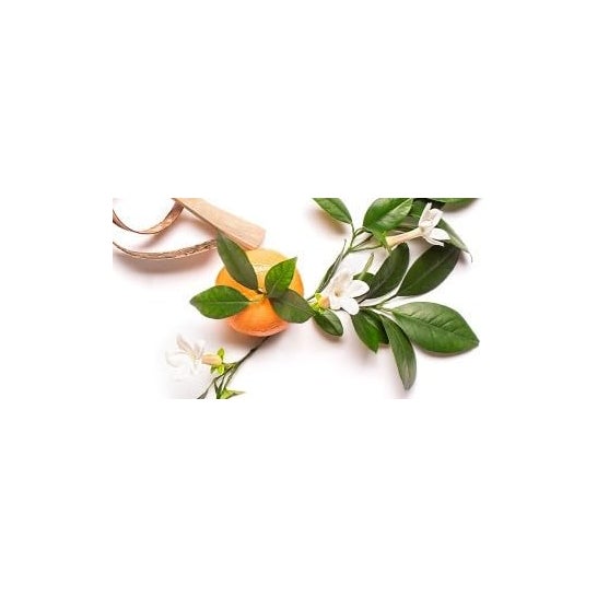 Creme de Luxo Creme Fraiche 50ml