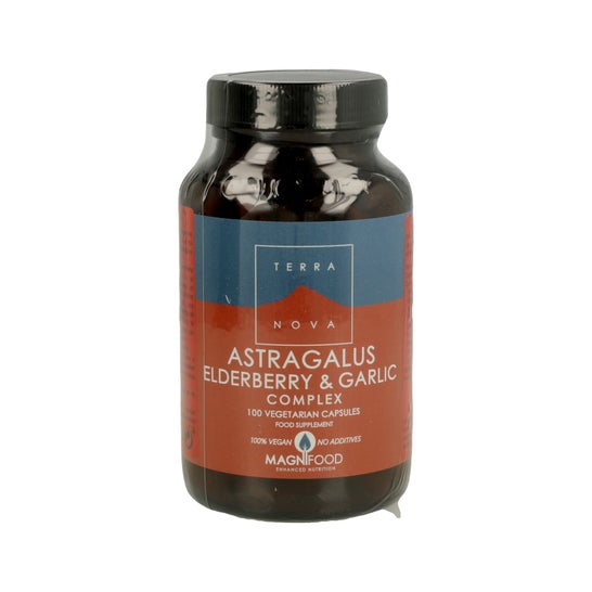 Terra Nova Astragalus Comp Comp de Alho de Amieiro 100caps