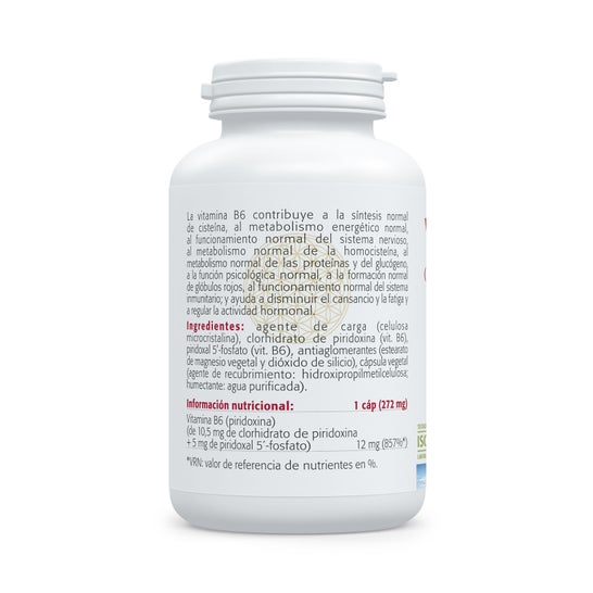 Sura Vitasan Vitamina B6 60 cápsulas